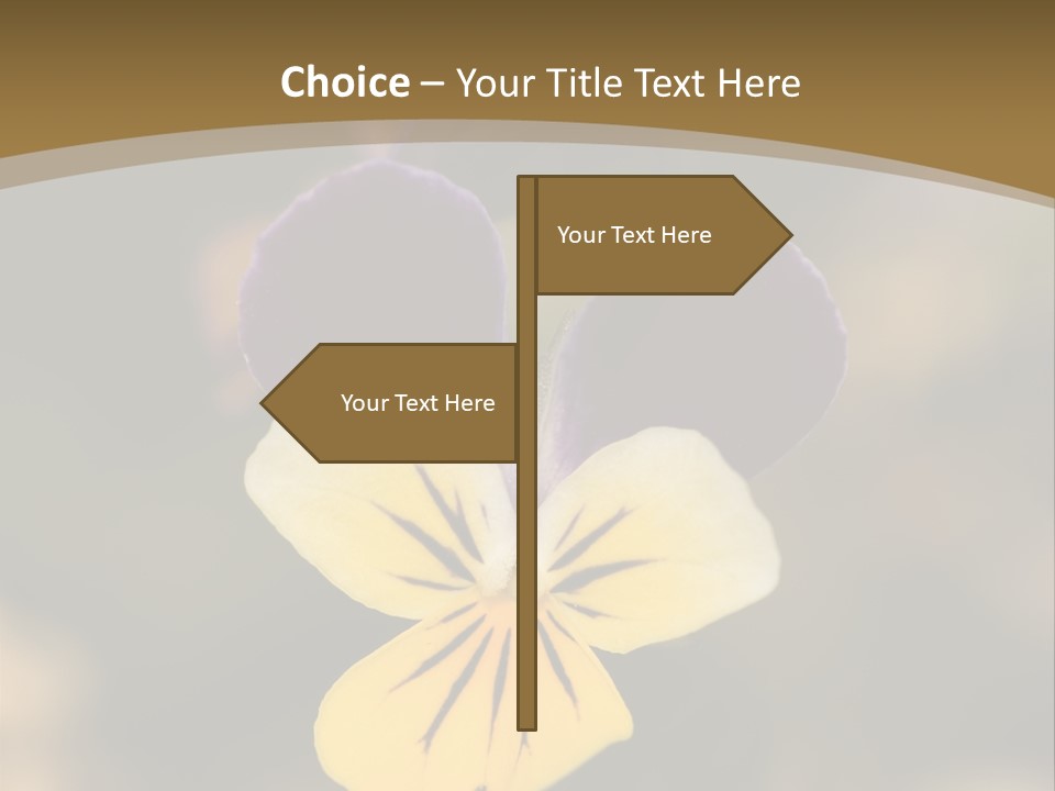 Viola Cornuta PowerPoint Template