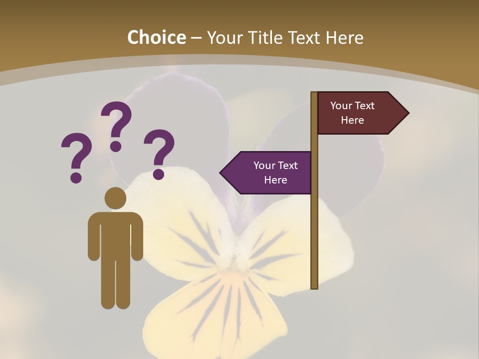 Viola Cornuta PowerPoint Template