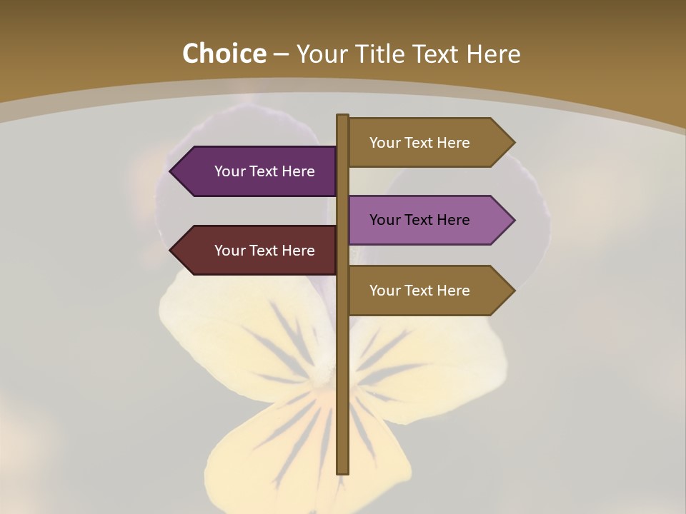Viola Cornuta PowerPoint Template
