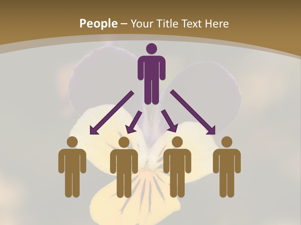 Viola Cornuta PowerPoint Template