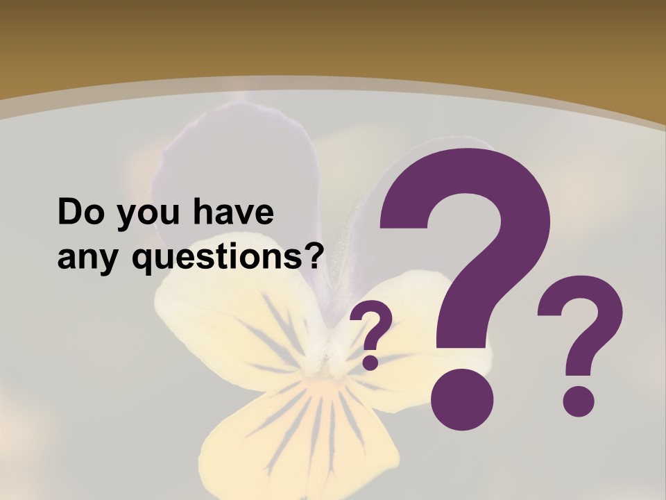 Viola Cornuta PowerPoint Template