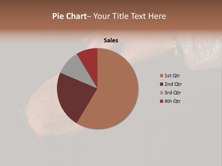 Rich Hand Giving Alms To Beggar PowerPoint Template