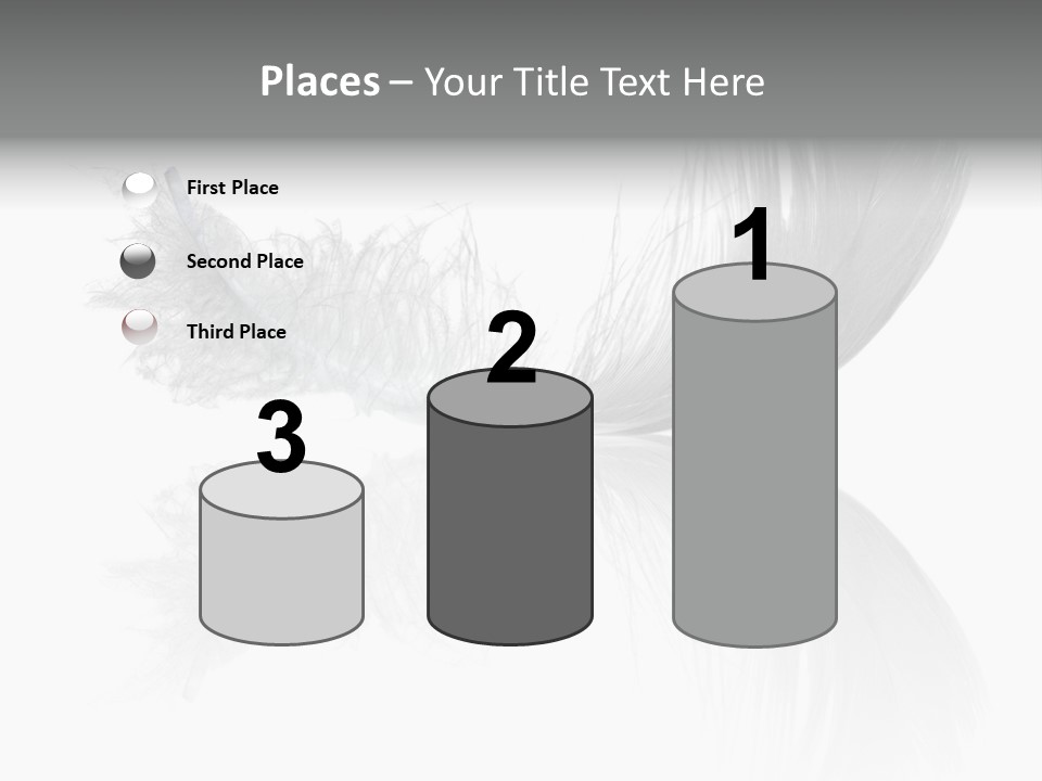 White Swan Feather Isolated On White Background PowerPoint Template