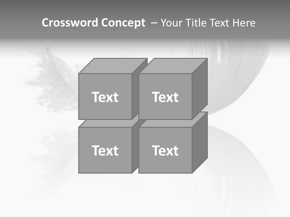 White Swan Feather Isolated On White Background PowerPoint Template