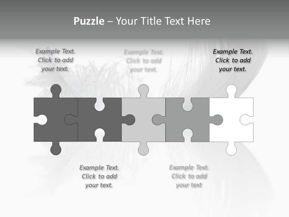 White Swan Feather Isolated On White Background PowerPoint Template