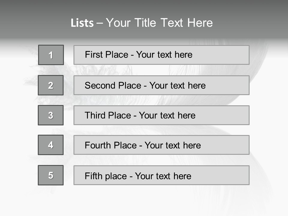 White Swan Feather Isolated On White Background PowerPoint Template