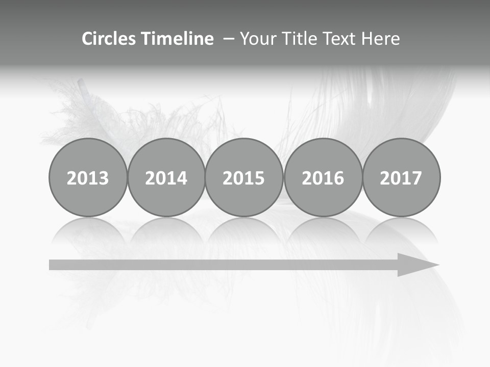 White Swan Feather Isolated On White Background PowerPoint Template