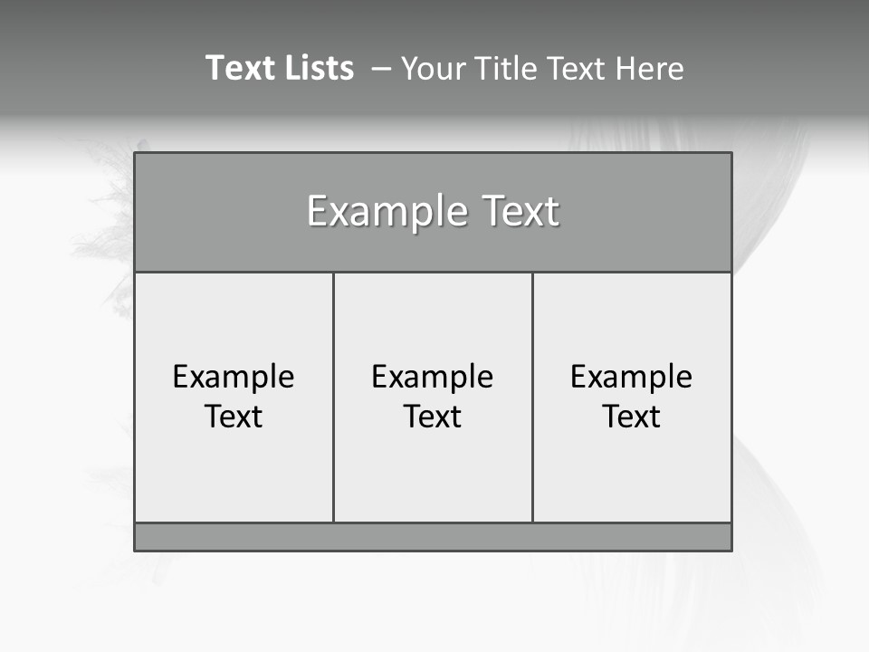 White Swan Feather Isolated On White Background PowerPoint Template