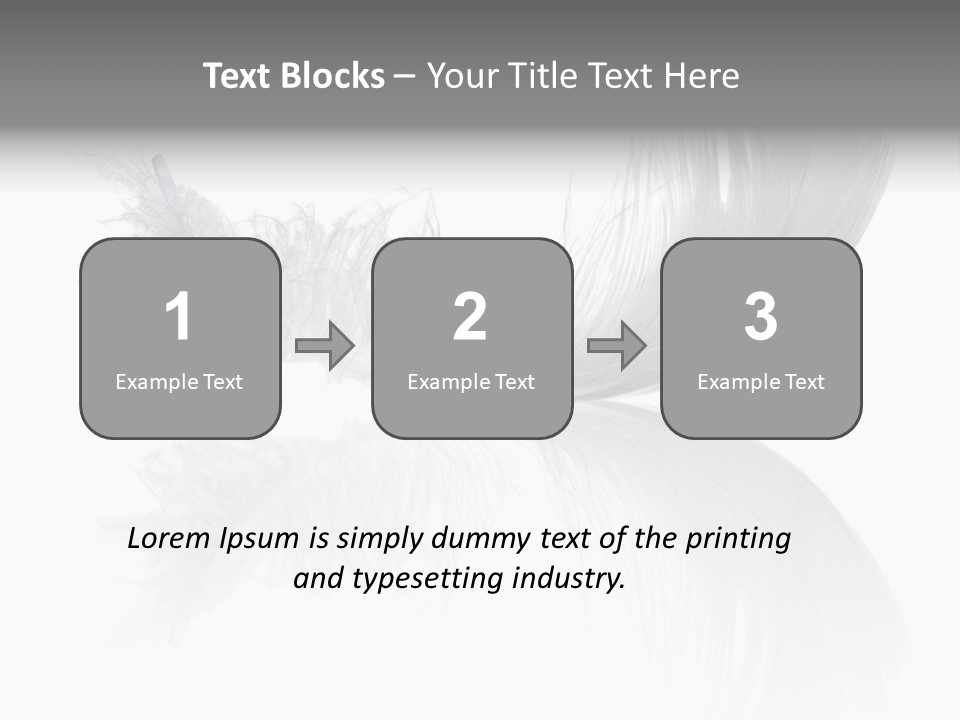 White Swan Feather Isolated On White Background PowerPoint Template