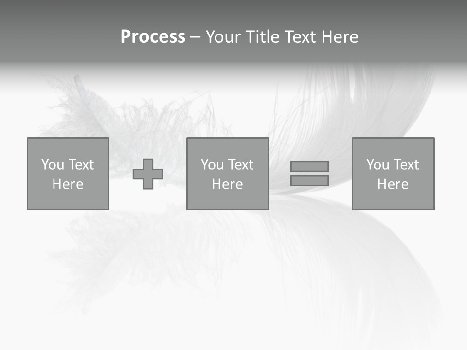 White Swan Feather Isolated On White Background PowerPoint Template