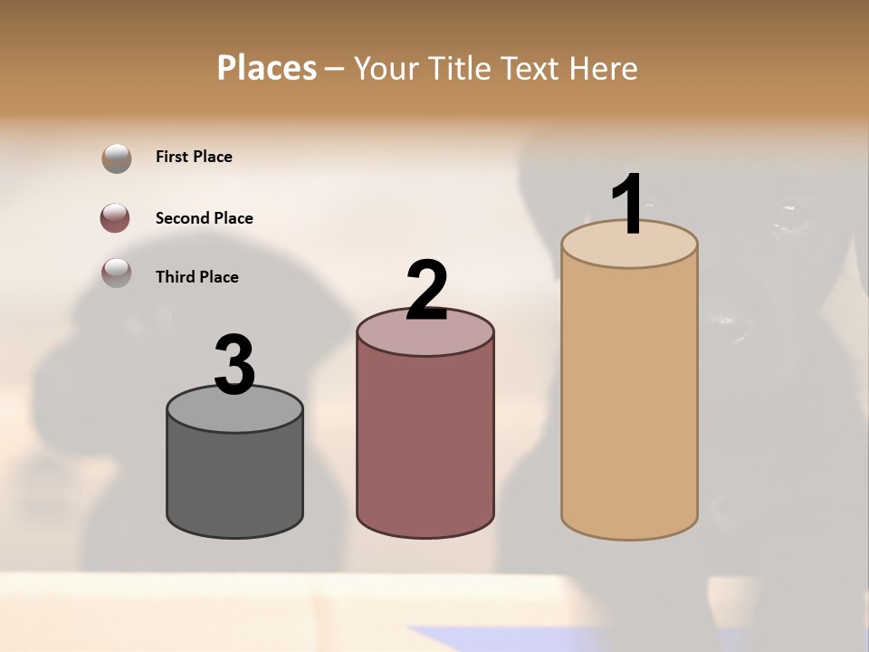 Stone Fireplace With Books On The Mantel And The Fire Blazing Inside With Natural Light PowerPoint Template