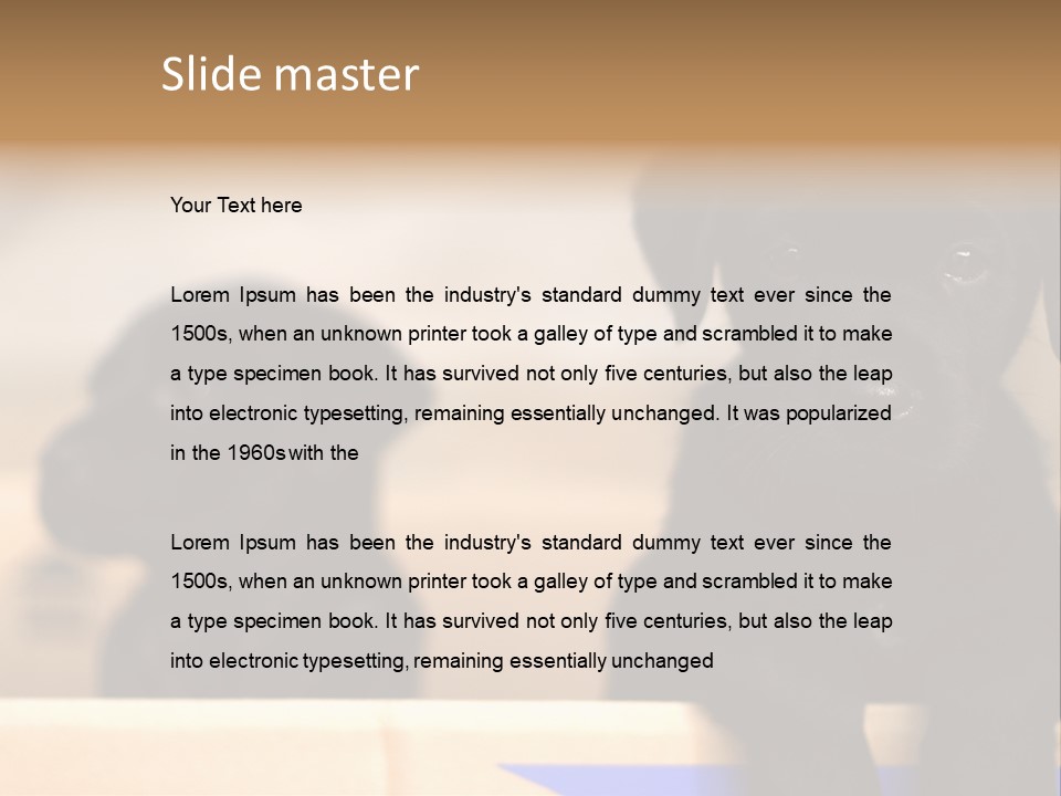 Stone Fireplace With Books On The Mantel And The Fire Blazing Inside With Natural Light PowerPoint Template