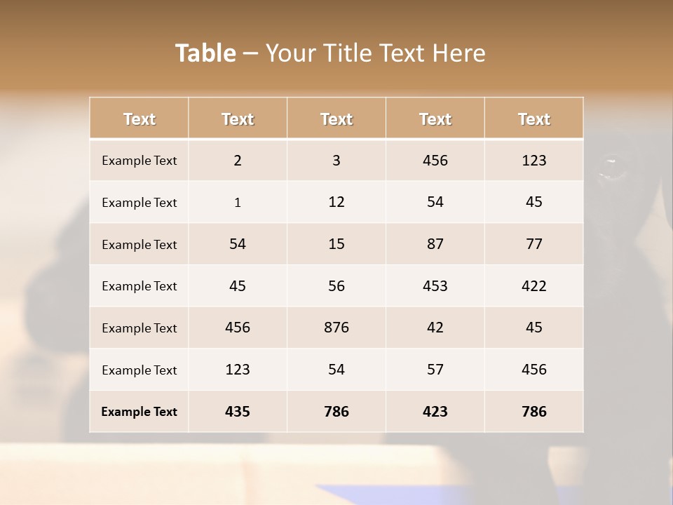 Stone Fireplace With Books On The Mantel And The Fire Blazing Inside With Natural Light PowerPoint Template