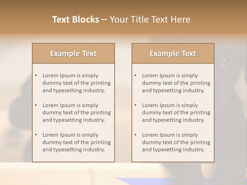 Stone Fireplace With Books On The Mantel And The Fire Blazing Inside With Natural Light PowerPoint Template