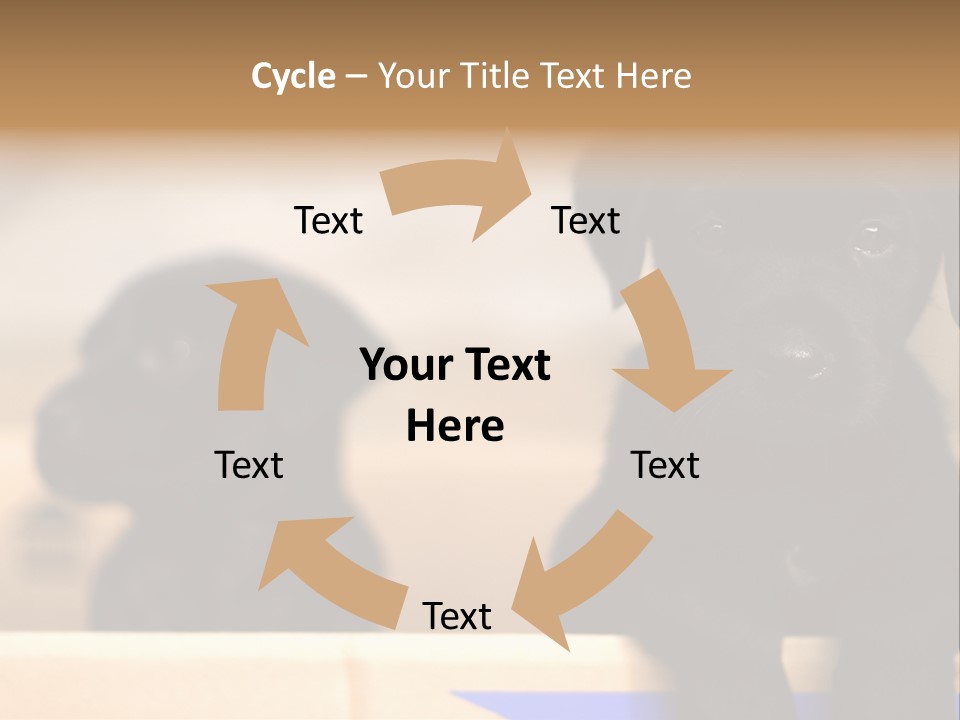 Stone Fireplace With Books On The Mantel And The Fire Blazing Inside With Natural Light PowerPoint Template