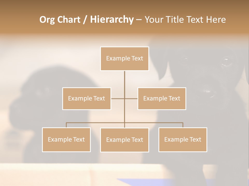 Stone Fireplace With Books On The Mantel And The Fire Blazing Inside With Natural Light PowerPoint Template