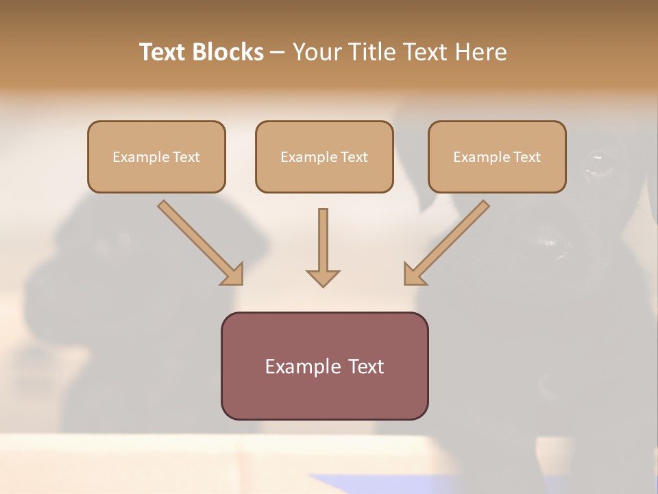 Stone Fireplace With Books On The Mantel And The Fire Blazing Inside With Natural Light PowerPoint Template