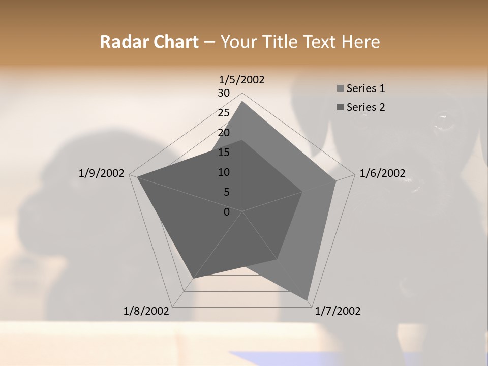 Stone Fireplace With Books On The Mantel And The Fire Blazing Inside With Natural Light PowerPoint Template