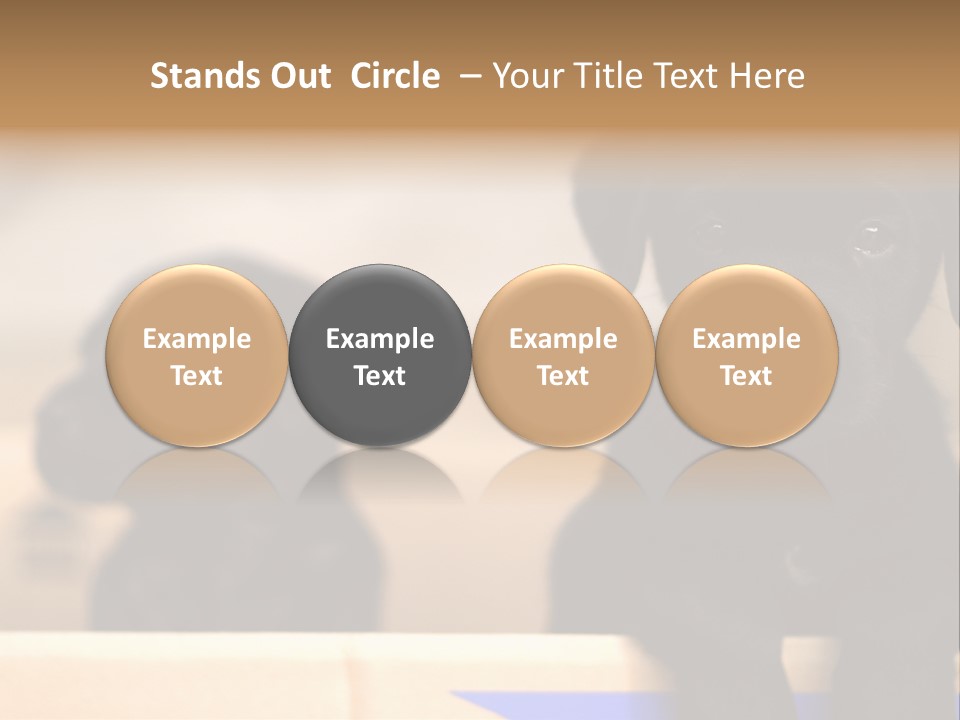 Stone Fireplace With Books On The Mantel And The Fire Blazing Inside With Natural Light PowerPoint Template