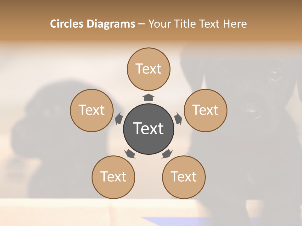 Stone Fireplace With Books On The Mantel And The Fire Blazing Inside With Natural Light PowerPoint Template