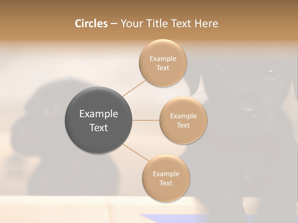 Stone Fireplace With Books On The Mantel And The Fire Blazing Inside With Natural Light PowerPoint Template