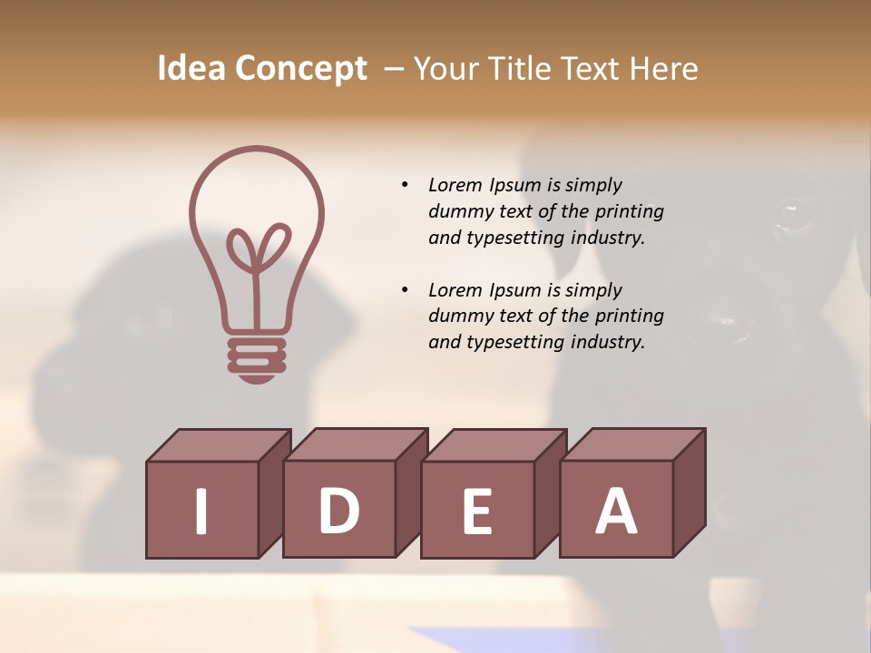 Stone Fireplace With Books On The Mantel And The Fire Blazing Inside With Natural Light PowerPoint Template