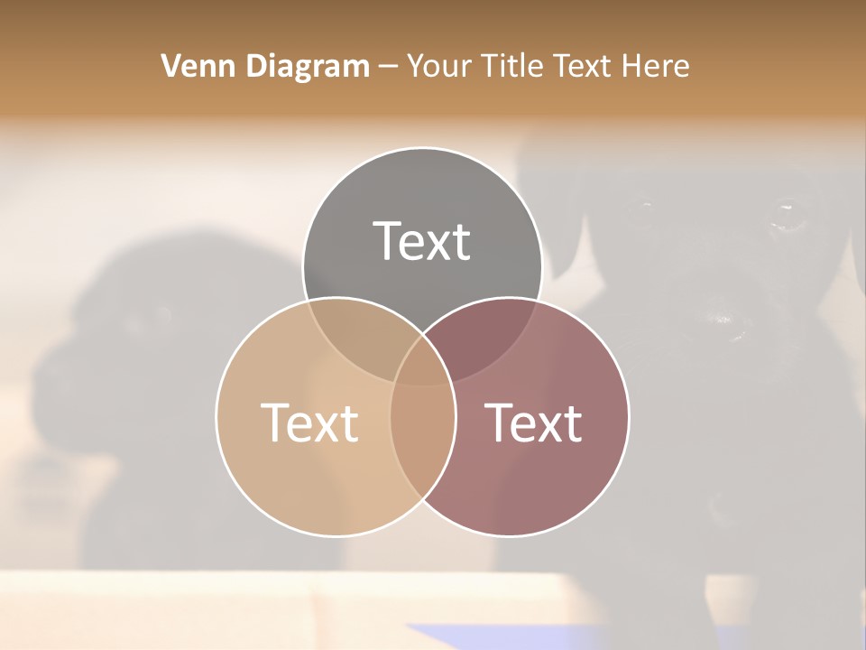 Stone Fireplace With Books On The Mantel And The Fire Blazing Inside With Natural Light PowerPoint Template