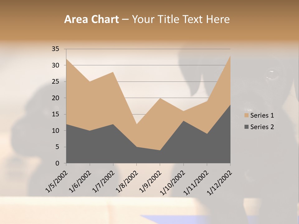 Stone Fireplace With Books On The Mantel And The Fire Blazing Inside With Natural Light PowerPoint Template