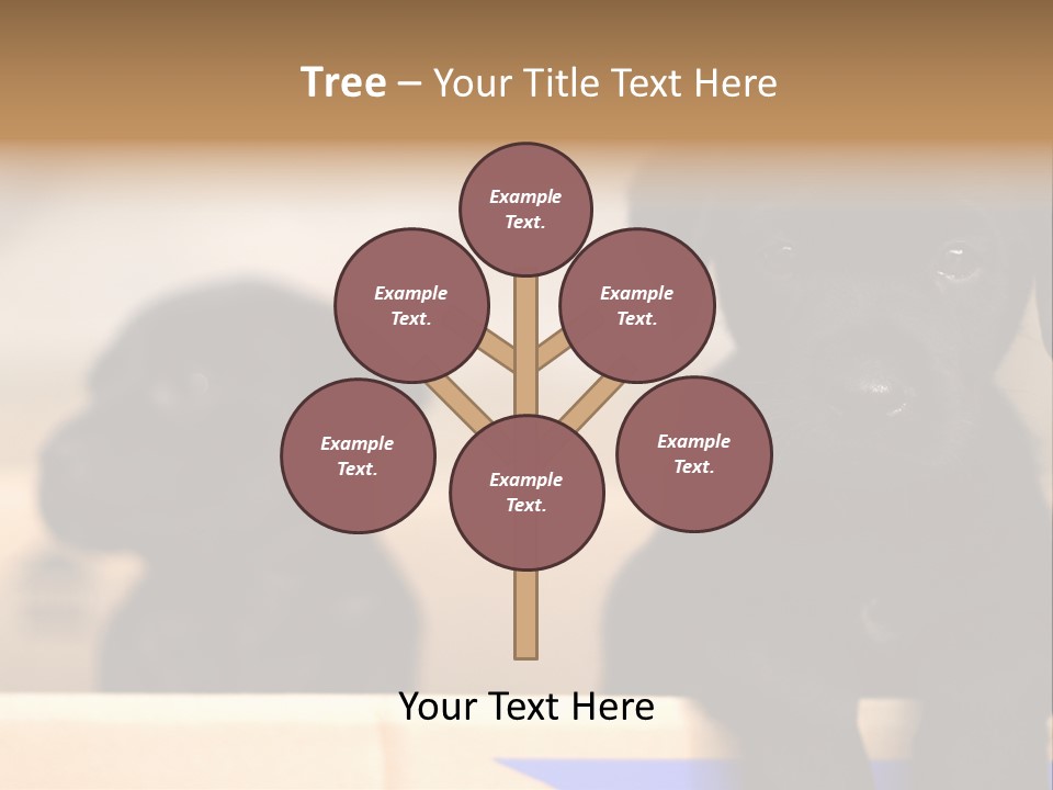 Stone Fireplace With Books On The Mantel And The Fire Blazing Inside With Natural Light PowerPoint Template