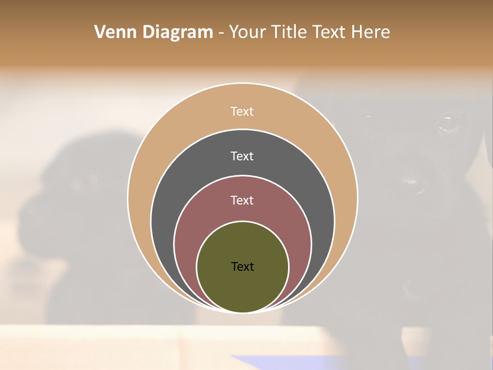 Stone Fireplace With Books On The Mantel And The Fire Blazing Inside With Natural Light PowerPoint Template