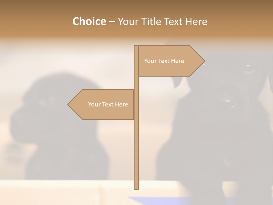 Stone Fireplace With Books On The Mantel And The Fire Blazing Inside With Natural Light PowerPoint Template