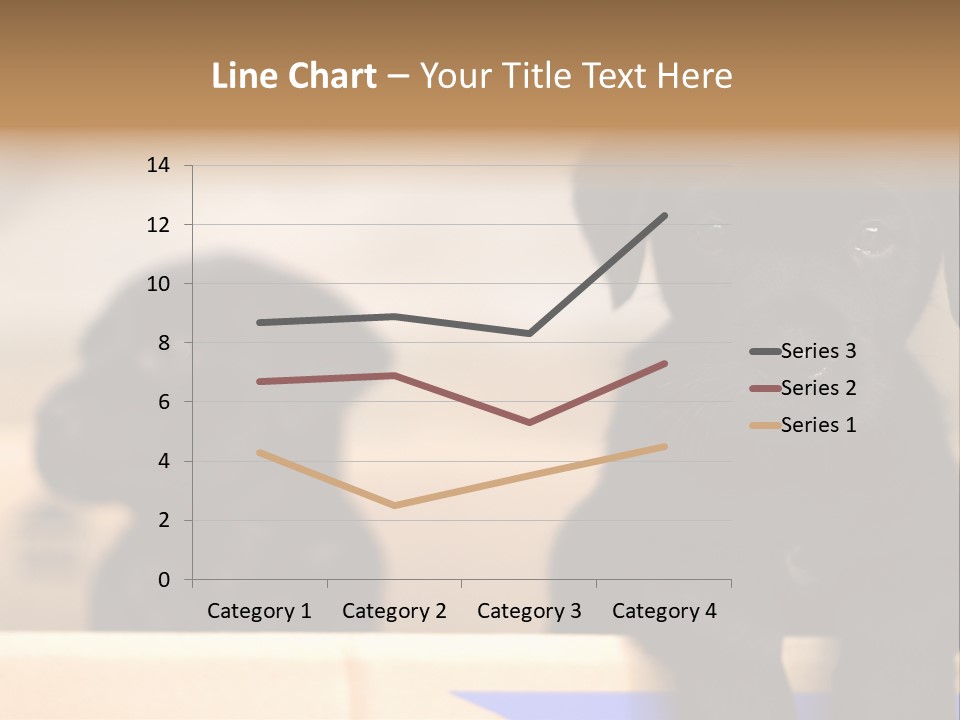 Stone Fireplace With Books On The Mantel And The Fire Blazing Inside With Natural Light PowerPoint Template