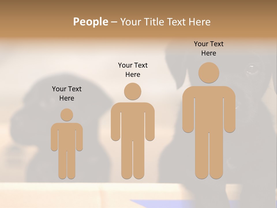 Stone Fireplace With Books On The Mantel And The Fire Blazing Inside With Natural Light PowerPoint Template