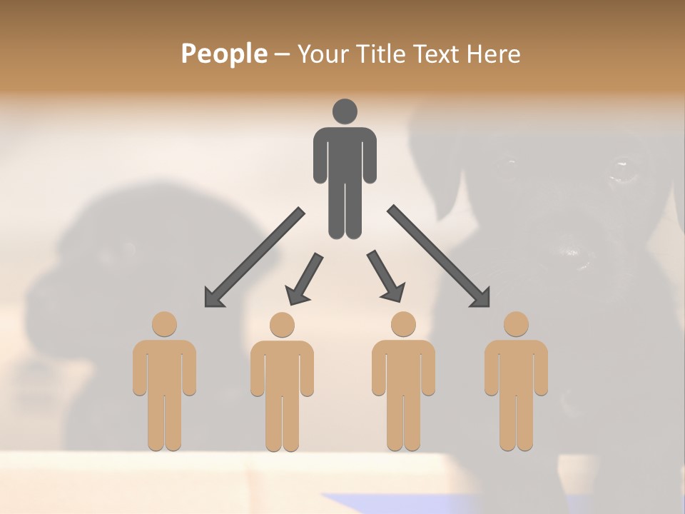 Stone Fireplace With Books On The Mantel And The Fire Blazing Inside With Natural Light PowerPoint Template