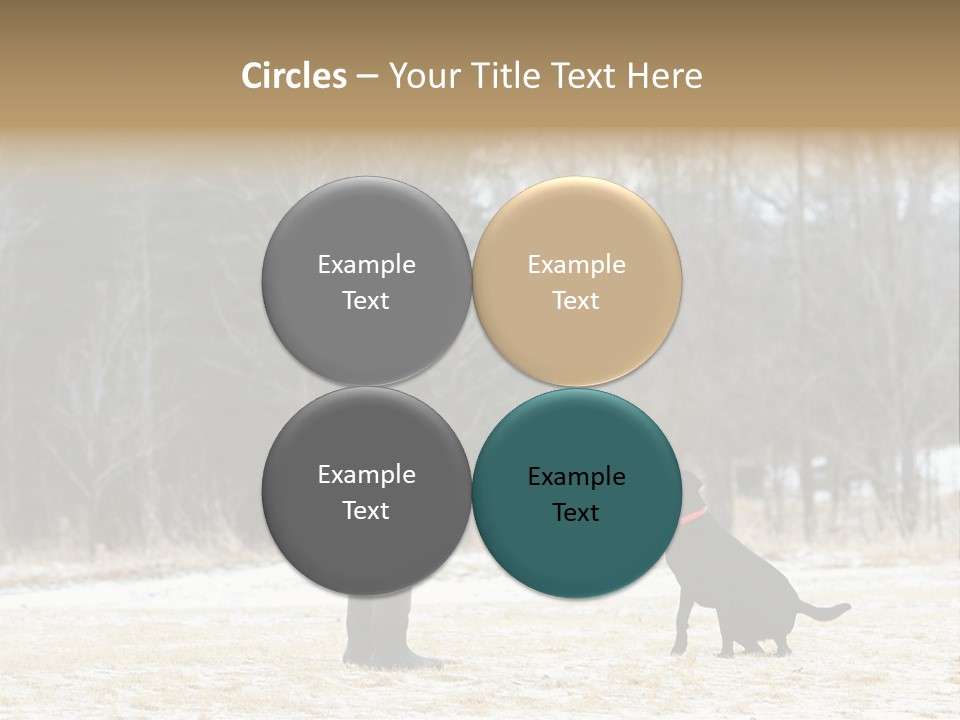 Caribbean Sea. Taganga Bay. Colombia. *** Local Caption *** Caribbean Sea. Taganga Bay. Colombia. PowerPoint Template