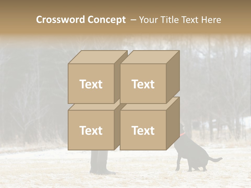 Caribbean Sea. Taganga Bay. Colombia. *** Local Caption *** Caribbean Sea. Taganga Bay. Colombia. PowerPoint Template