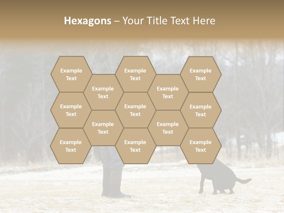 Caribbean Sea. Taganga Bay. Colombia. *** Local Caption *** Caribbean Sea. Taganga Bay. Colombia. PowerPoint Template