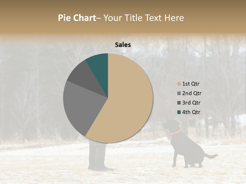 Caribbean Sea. Taganga Bay. Colombia. *** Local Caption *** Caribbean Sea. Taganga Bay. Colombia. PowerPoint Template