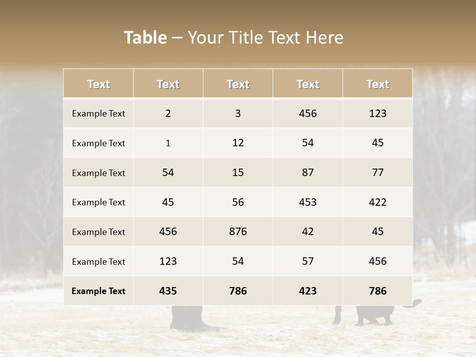 Caribbean Sea. Taganga Bay. Colombia. *** Local Caption *** Caribbean Sea. Taganga Bay. Colombia. PowerPoint Template