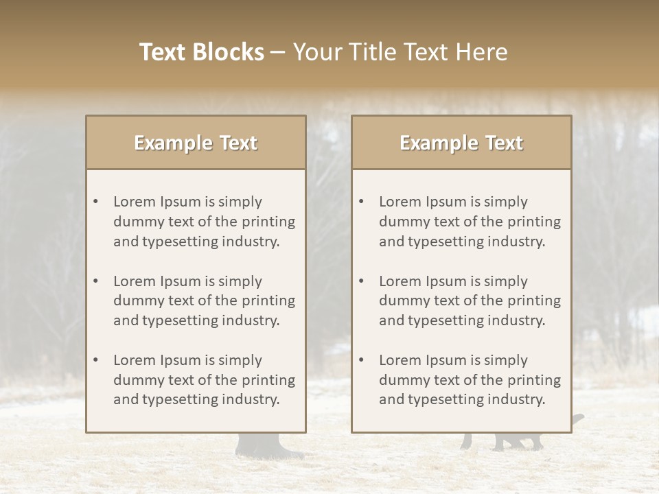 Caribbean Sea. Taganga Bay. Colombia. *** Local Caption *** Caribbean Sea. Taganga Bay. Colombia. PowerPoint Template