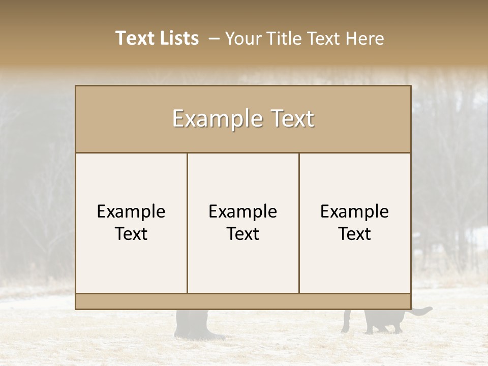 Caribbean Sea. Taganga Bay. Colombia. *** Local Caption *** Caribbean Sea. Taganga Bay. Colombia. PowerPoint Template