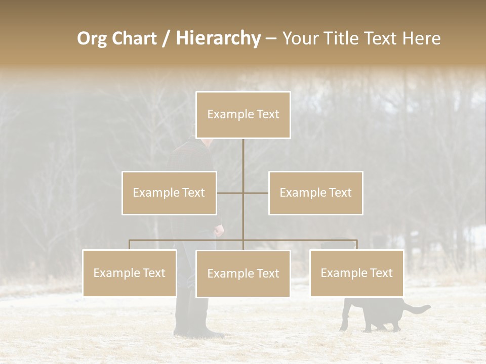 Caribbean Sea. Taganga Bay. Colombia. *** Local Caption *** Caribbean Sea. Taganga Bay. Colombia. PowerPoint Template