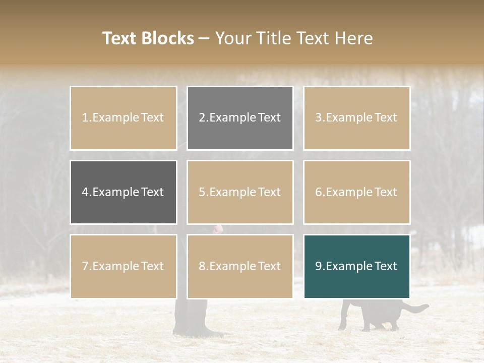 Caribbean Sea. Taganga Bay. Colombia. *** Local Caption *** Caribbean Sea. Taganga Bay. Colombia. PowerPoint Template