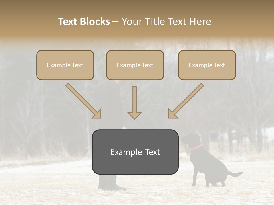 Caribbean Sea. Taganga Bay. Colombia. *** Local Caption *** Caribbean Sea. Taganga Bay. Colombia. PowerPoint Template