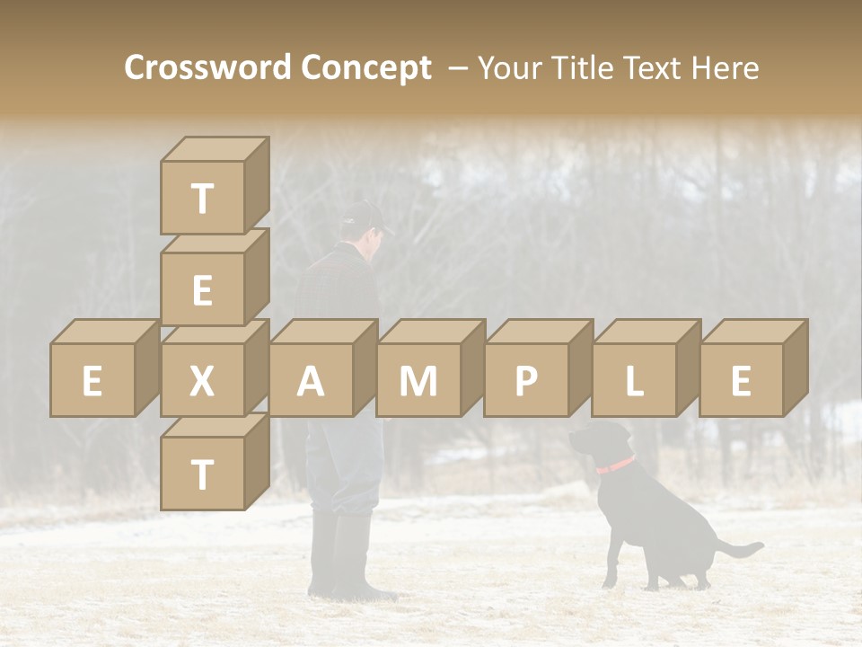 Caribbean Sea. Taganga Bay. Colombia. *** Local Caption *** Caribbean Sea. Taganga Bay. Colombia. PowerPoint Template