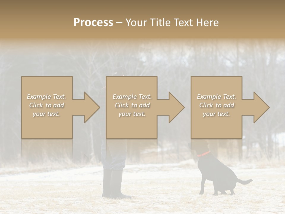 Caribbean Sea. Taganga Bay. Colombia. *** Local Caption *** Caribbean Sea. Taganga Bay. Colombia. PowerPoint Template