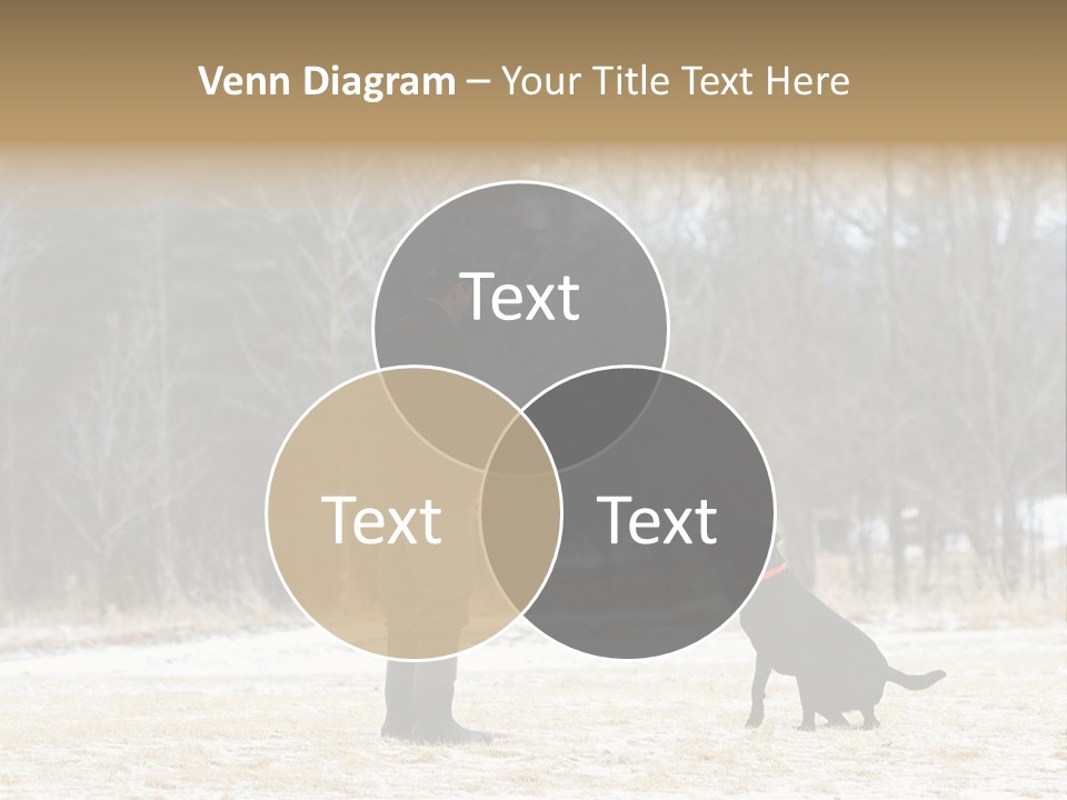 Caribbean Sea. Taganga Bay. Colombia. *** Local Caption *** Caribbean Sea. Taganga Bay. Colombia. PowerPoint Template