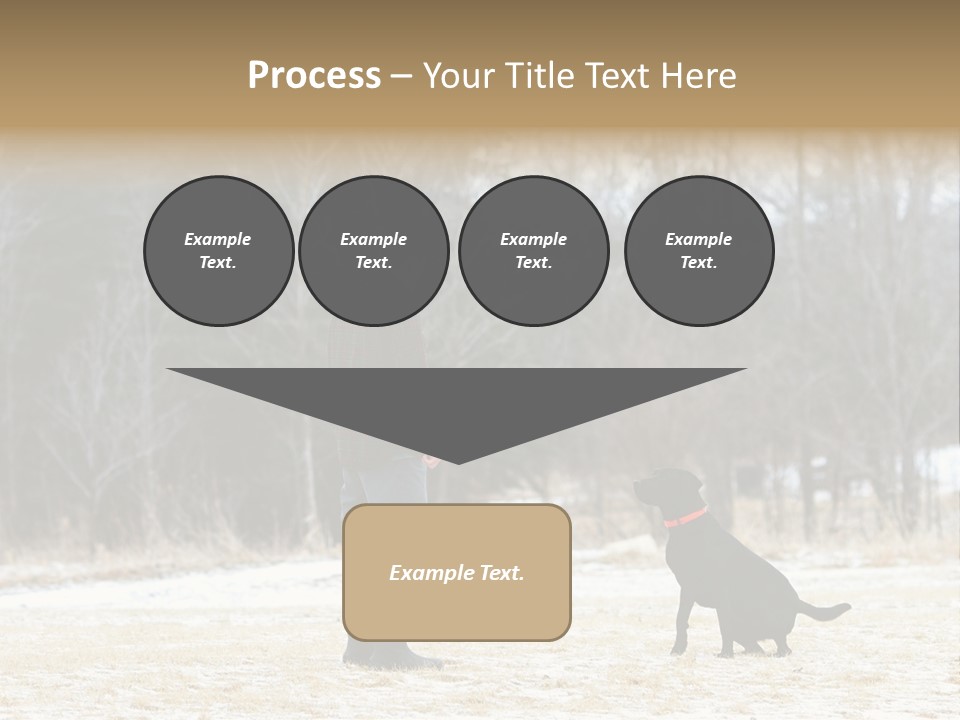 Caribbean Sea. Taganga Bay. Colombia. *** Local Caption *** Caribbean Sea. Taganga Bay. Colombia. PowerPoint Template