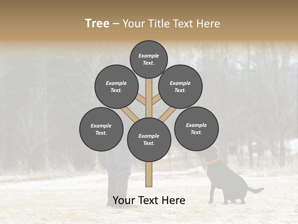 Caribbean Sea. Taganga Bay. Colombia. *** Local Caption *** Caribbean Sea. Taganga Bay. Colombia. PowerPoint Template