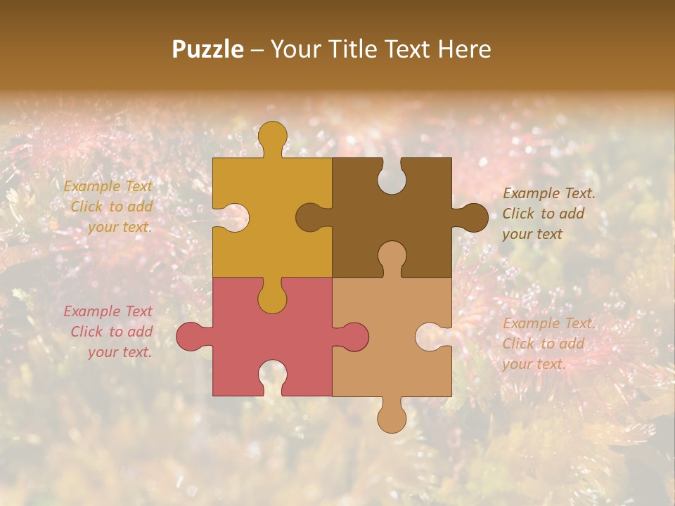 Sundew (Drosera Rotundifolia) Close-Up In Sunny Summer Day PowerPoint Template